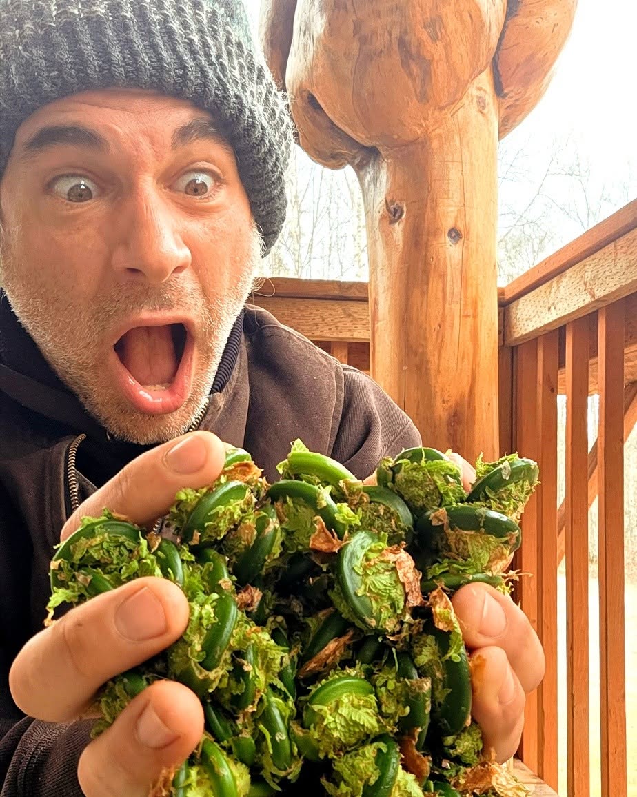 Russ enthusiastically holding fresh fiddlehead ferns