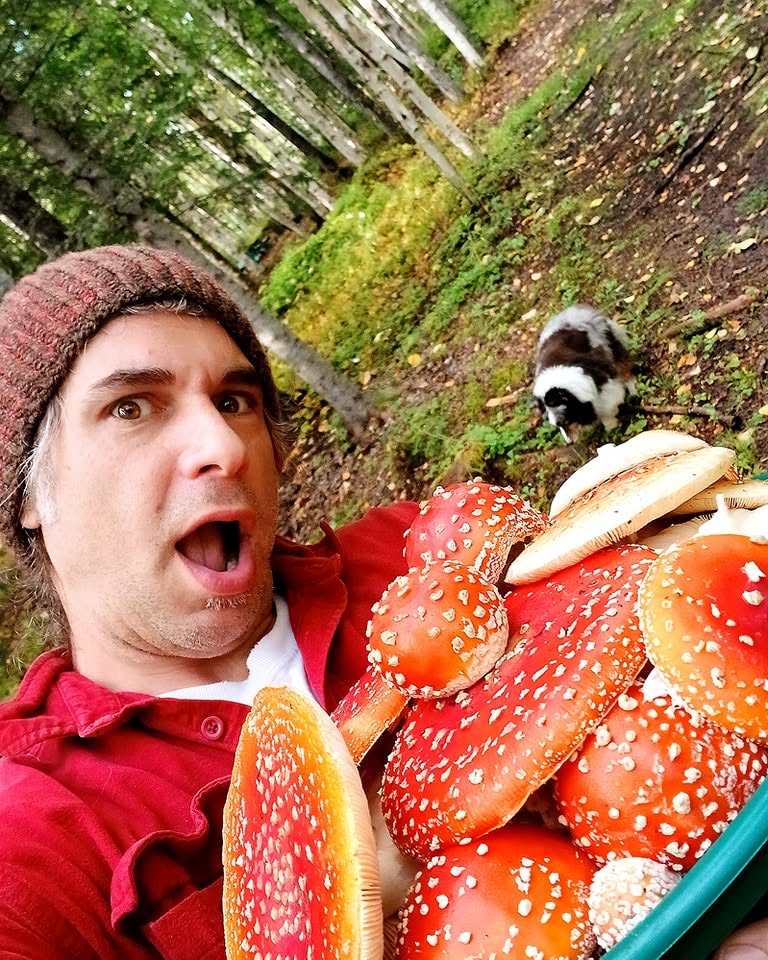 Russ holding a basket of wild Alaska mushrooms in the forest